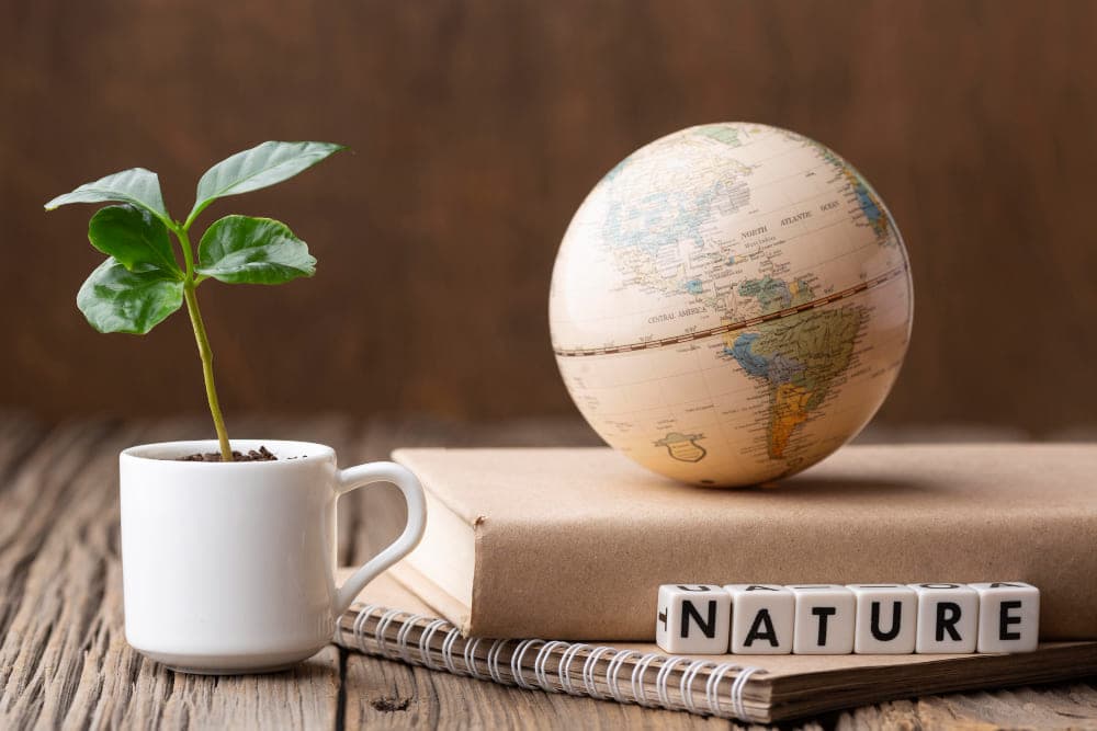 Environment, Sustainability and Climate Change