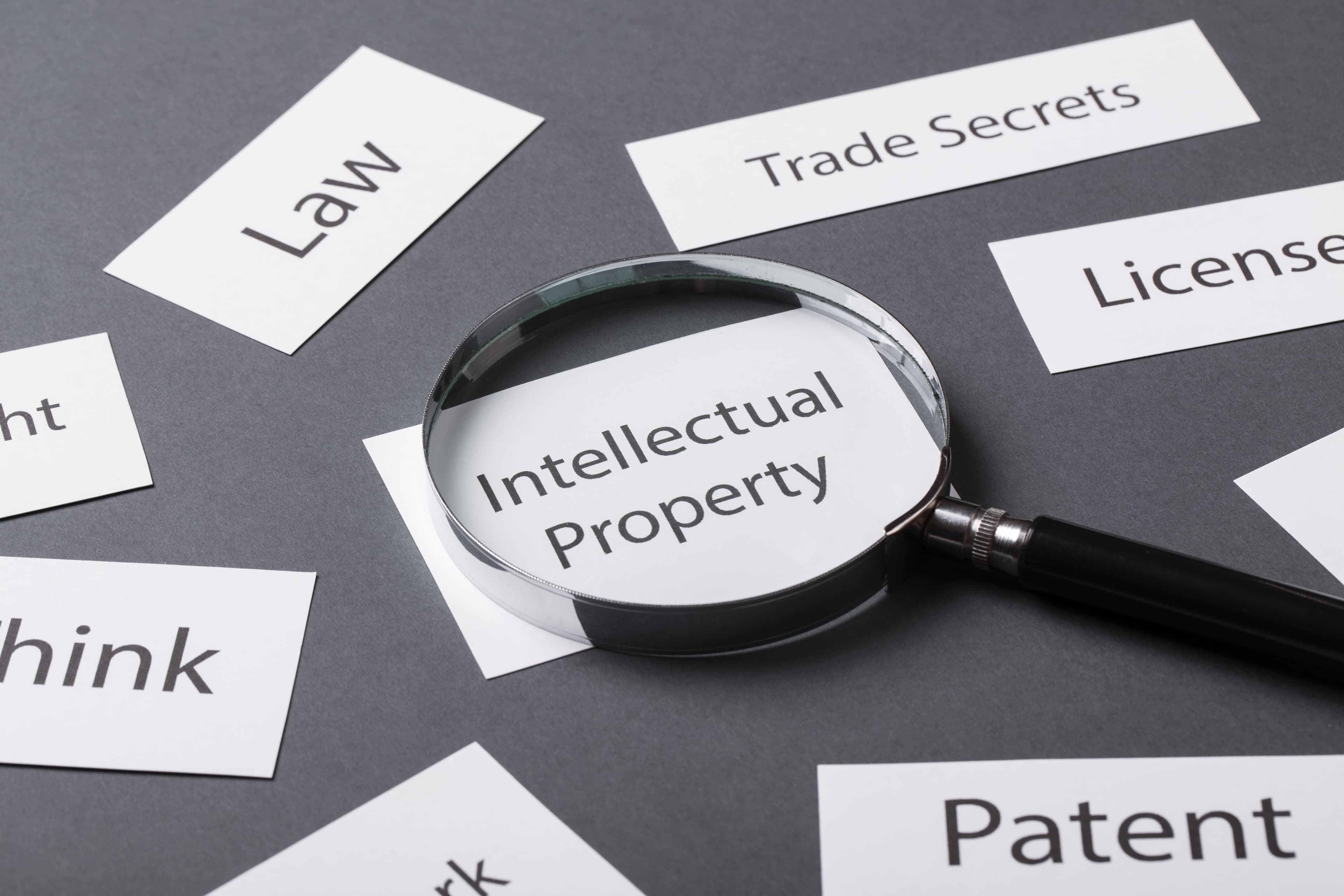 Intellectual Property Law